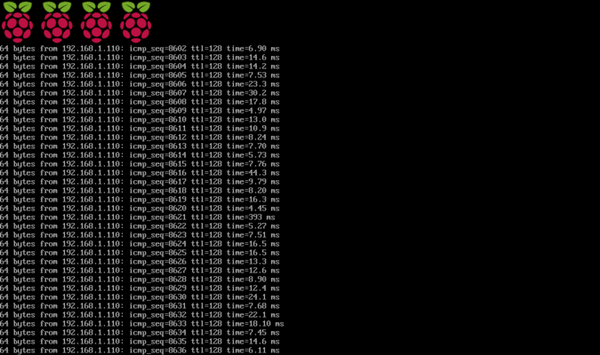 Application running on the Raspberry Pi