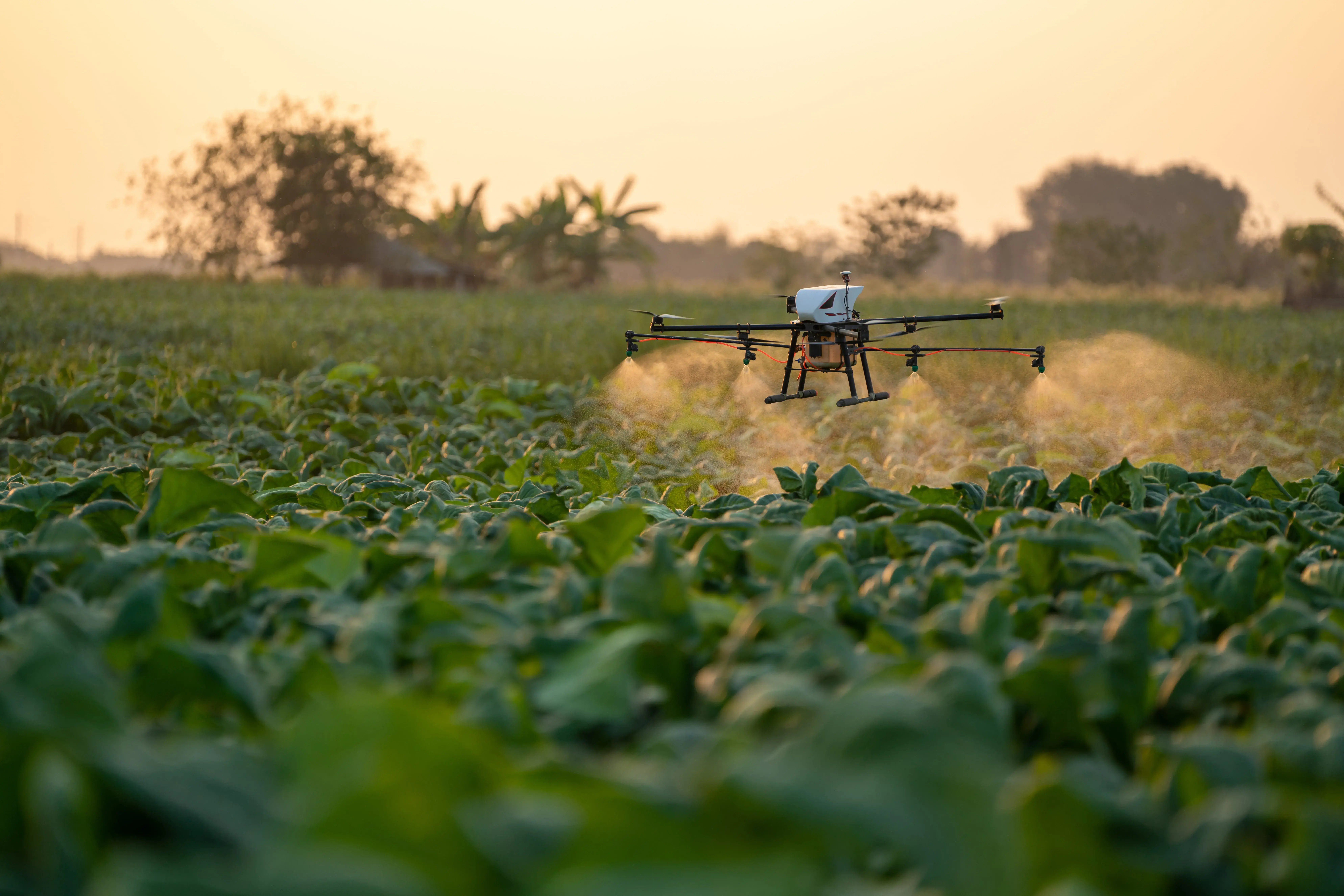 Drone Agriculture 4