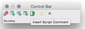 insertScriptComment