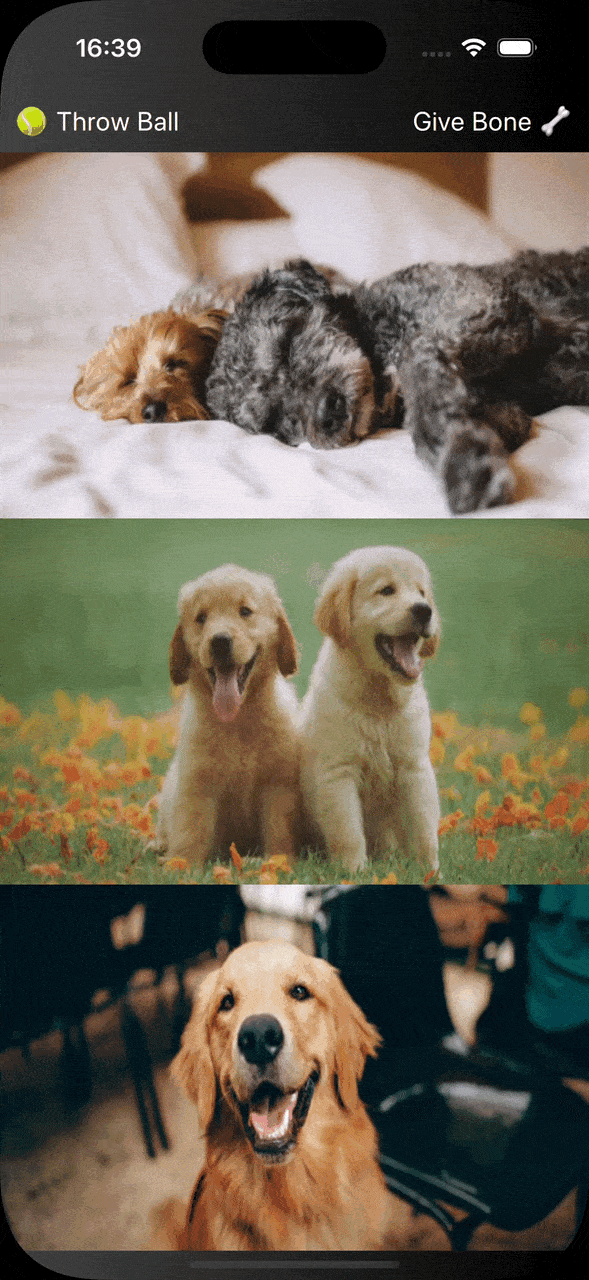 Simulator Screen Recording - iPhone 16 Pro - 2025-03-26 at 16.39.18-1