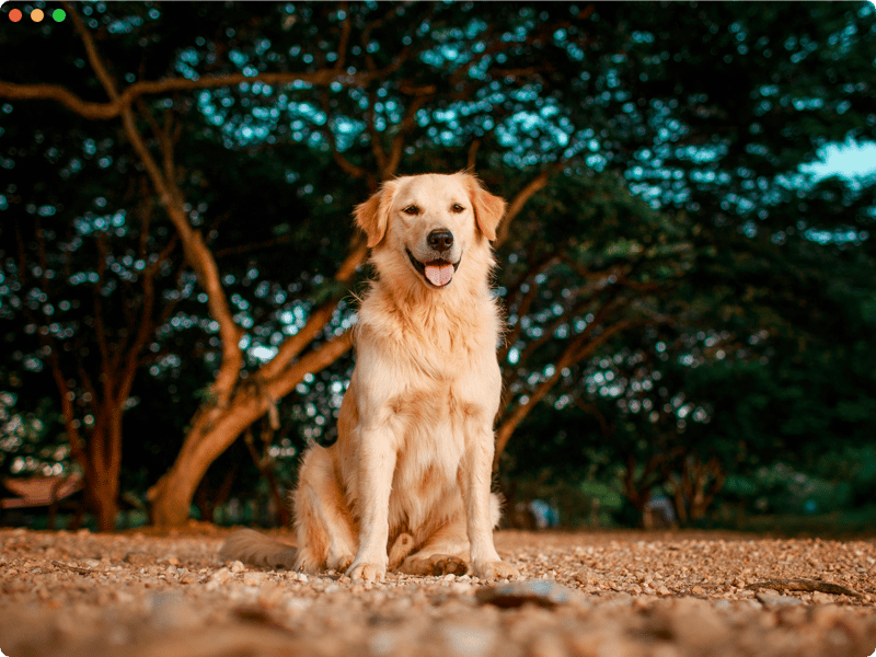 拡大クライアント領域とセーフ領域