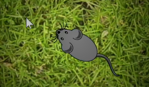 New in Qt 6.4: FrameAnimation