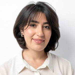 Negin Mirzaei