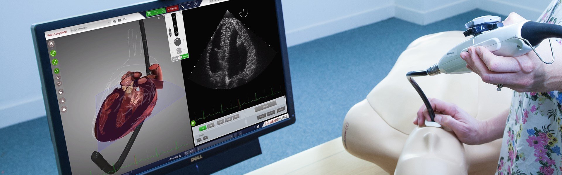 HeartWorks — Training doctors to diagnose heart conditions with world's most accurate 3D virtual heart.